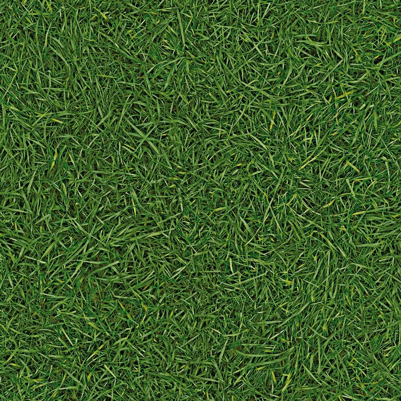 Линолеум IVC Vision Grass T25 (4м) 