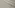 Обои флизелин Grandeco Arabesques гор. винил,1.06х10.05, R131002 фон, бежевый