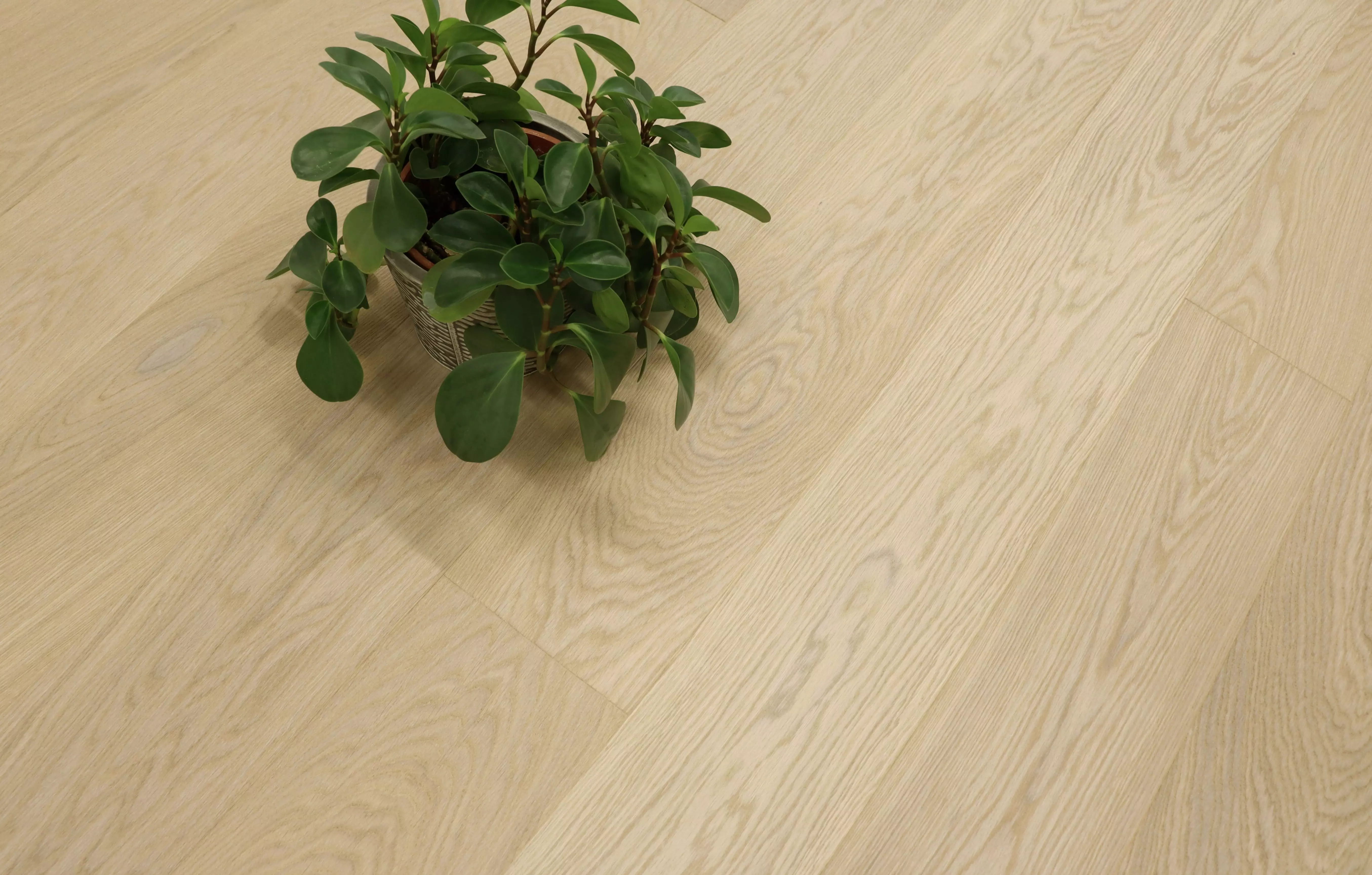 Паркетная доска Karelia Bloom Oak 4 story daisy deep matt 