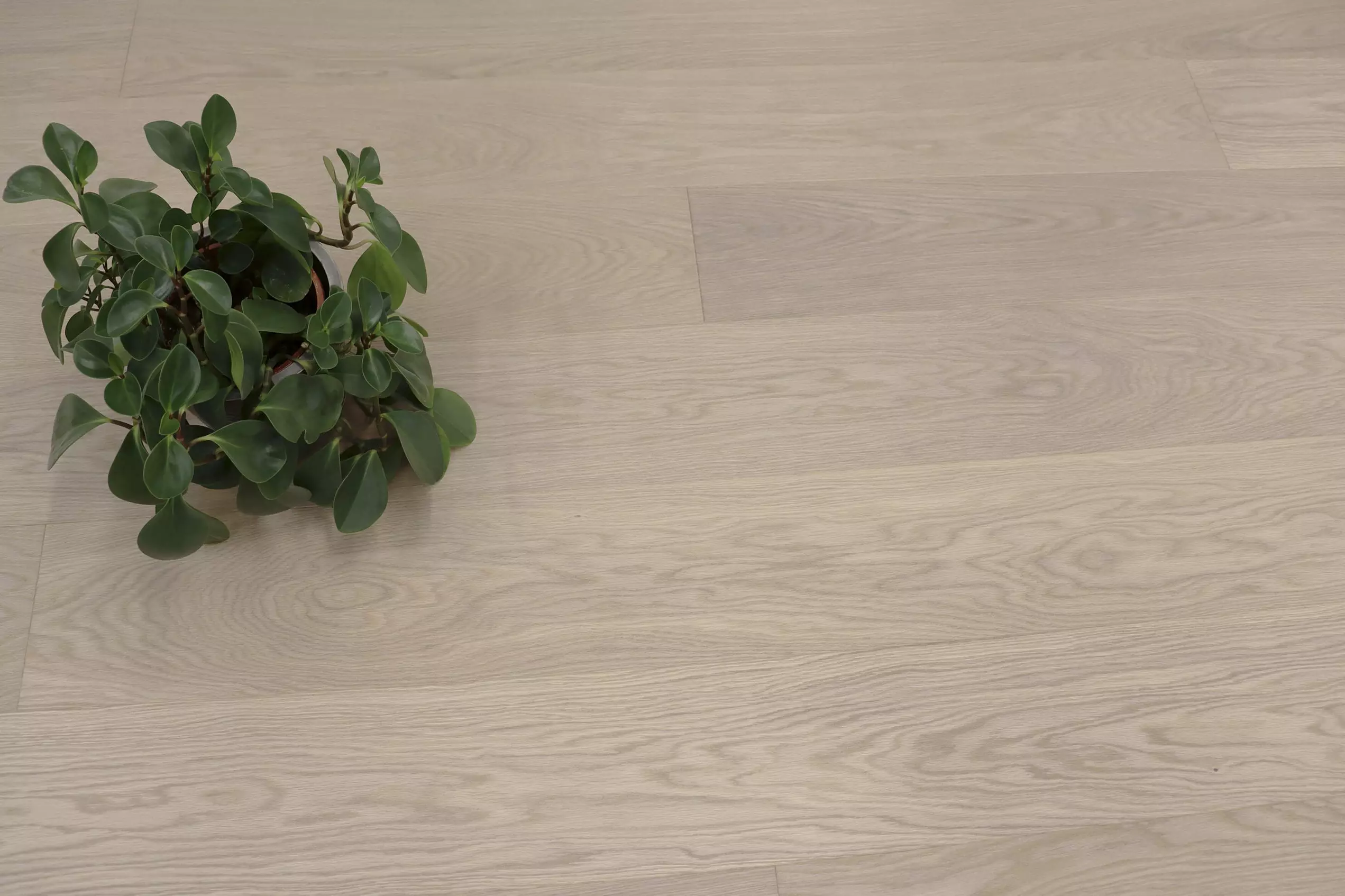 Паркетная доска Karelia Bloom Oak 4 story freesia deep matt 